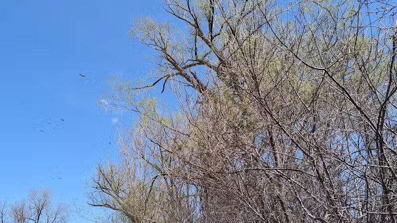 Hiking Trailhead - Commerce Township, MI