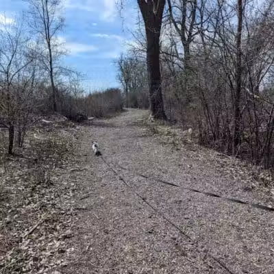 Hiking Trailhead - Commerce Township, MI