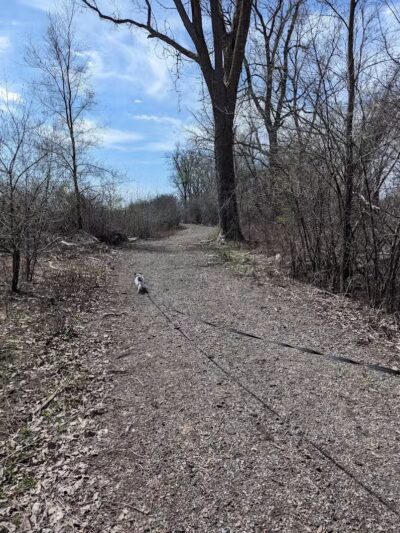 Hiking Trailhead - Commerce Township, MI