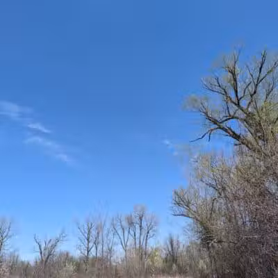 Hiking Trailhead - Commerce Township, MI