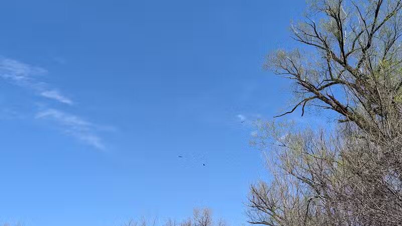 Hiking Trailhead - Commerce Township, MI