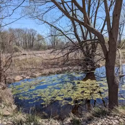 Hiking Trailhead - Commerce Township, MI