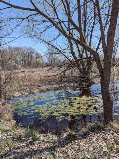 Hiking Trailhead - Commerce Township, MI