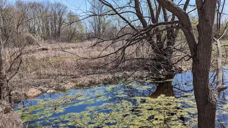Hiking Trailhead - Commerce Township, MI