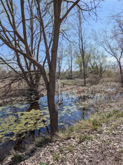 Hiking Trailhead - Commerce Township, MI