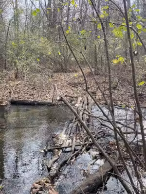 Victory Park - Commerce Township, MI