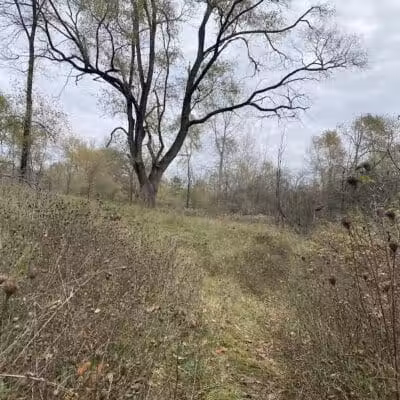 Victory Park - Commerce Township, MI