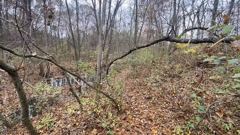 Victory Park - Commerce Township, MI