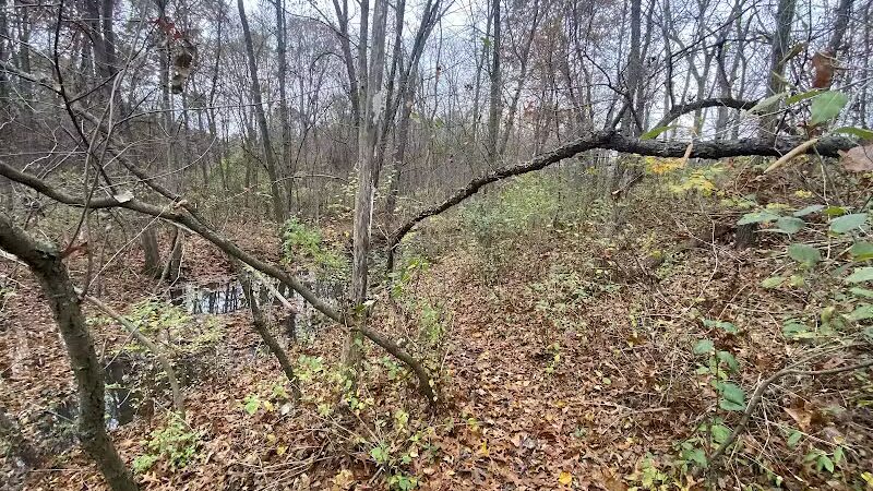 Victory Park - Commerce Township, MI