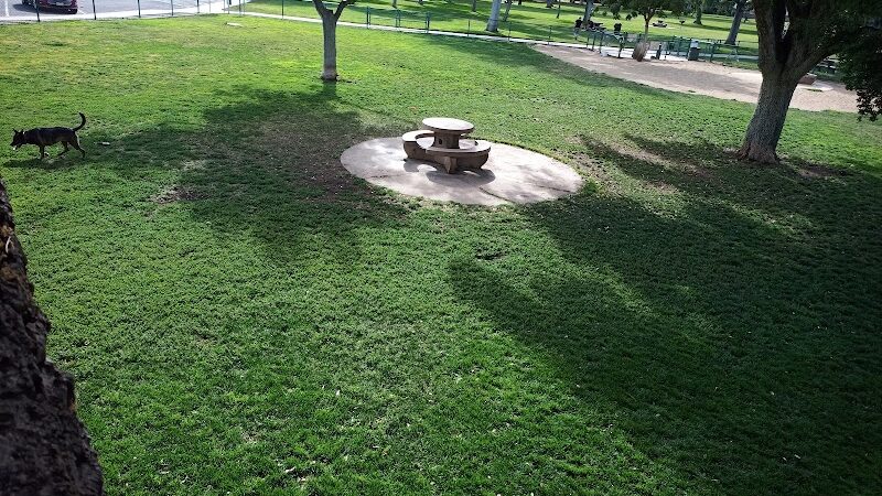 Baldwin Dog Park - Concord, CA