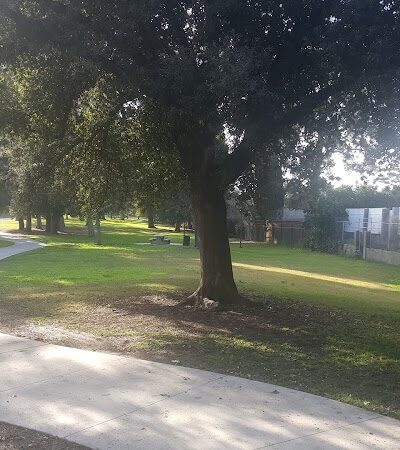 Baldwin Dog Park - Concord, CA