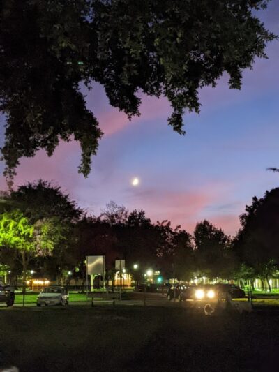 Baldwin Dog Park - Concord, CA