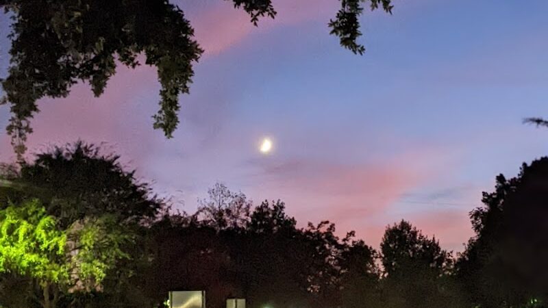 Baldwin Dog Park - Concord, CA