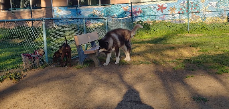 Baldwin Dog Park - Concord, CA