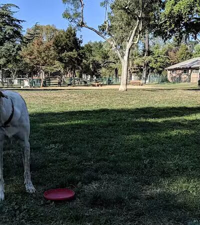 Baldwin Dog Park - Concord, CA