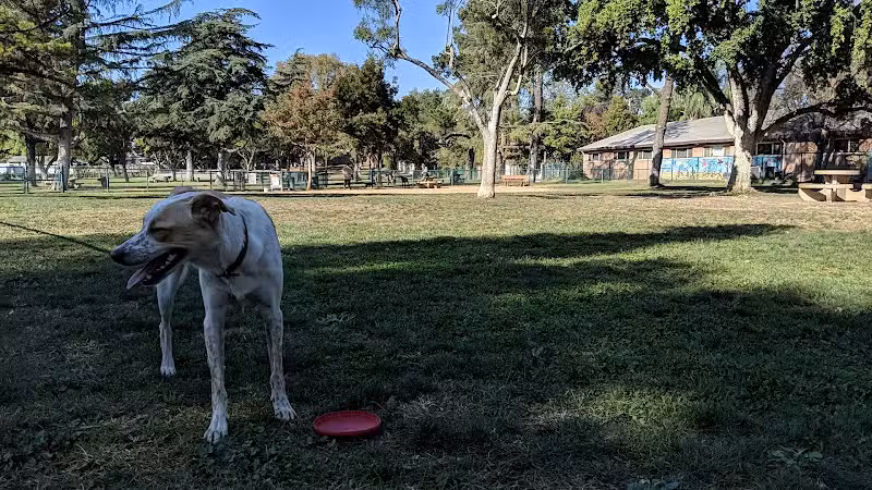Baldwin Dog Park - Concord, CA