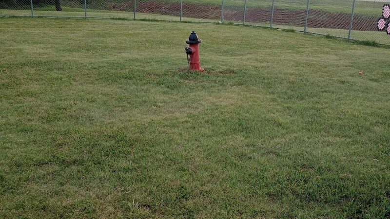 Dog Park - Concordia, KS