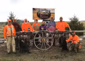 Coteau View Hunts - Conde, SD