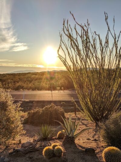 North Ranch - Escapees RV Parks - Congress, AZ