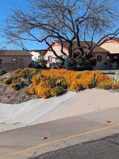 North Ranch - Escapees RV Parks - Congress, AZ