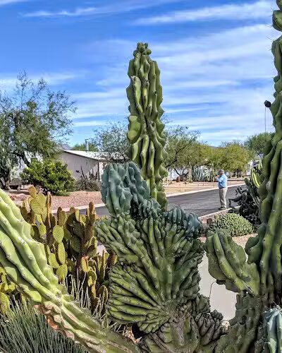 North Ranch - Escapees RV Parks - Congress, AZ