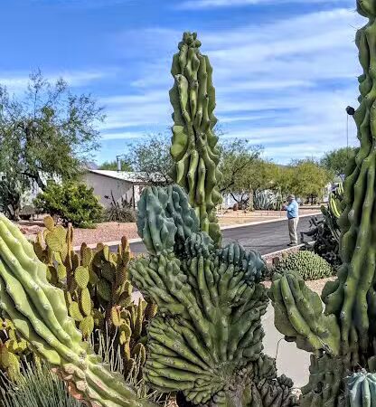 North Ranch - Escapees RV Parks - Congress, AZ