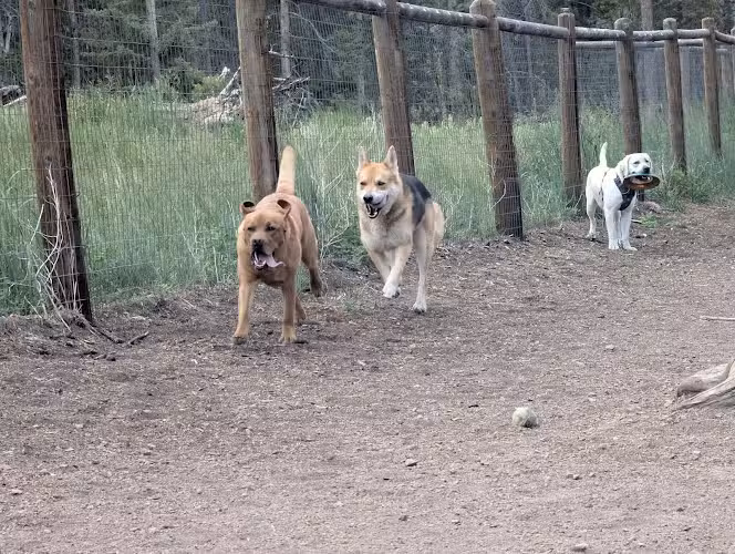 Beaver Ranch Park - Conifer, CO