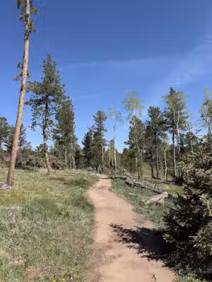Flying J Ranch Park Shadow Mt. Access - Conifer, CO