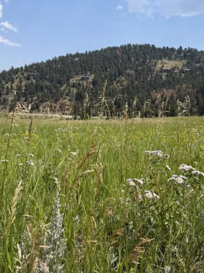 Flying J Ranch Park Shadow Mt. Access - Conifer, CO