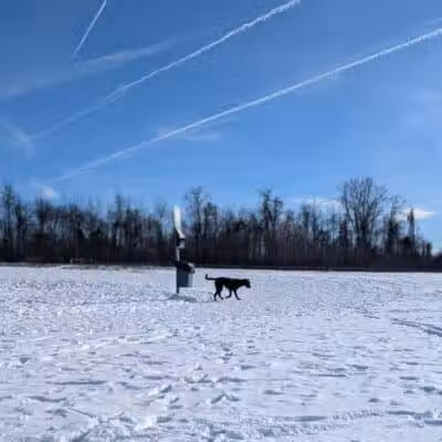 Conklin "Raceway" Dog Park - Conklin,