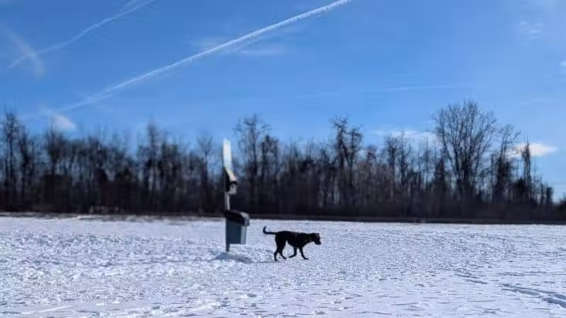 Conklin "Raceway" Dog Park - Conklin,