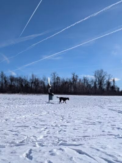 Conklin "Raceway" Dog Park - Conklin,