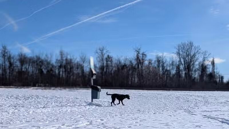 Conklin "Raceway" Dog Park - Conklin,