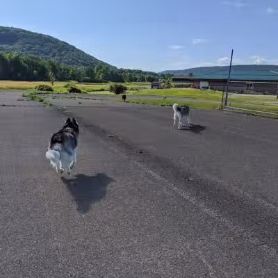 Conklin "Raceway" Dog Park - Conklin,