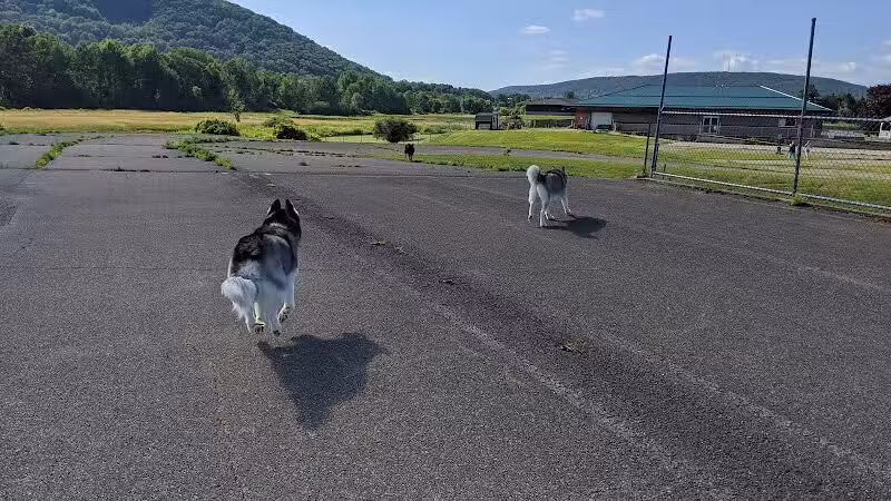Conklin "Raceway" Dog Park - Conklin,