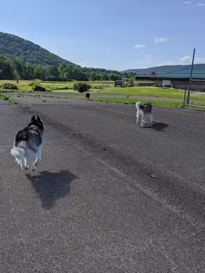 Conklin "Raceway" Dog Park - Conklin,