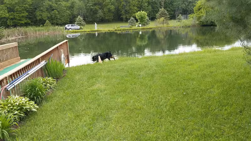 Conneaut Lake Bark Park - Conneaut Lake, PA