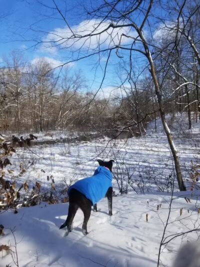 Mill Creek park - Constantine,