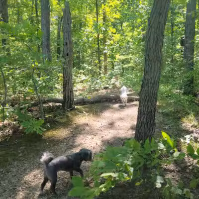 Mill Creek park - Constantine,