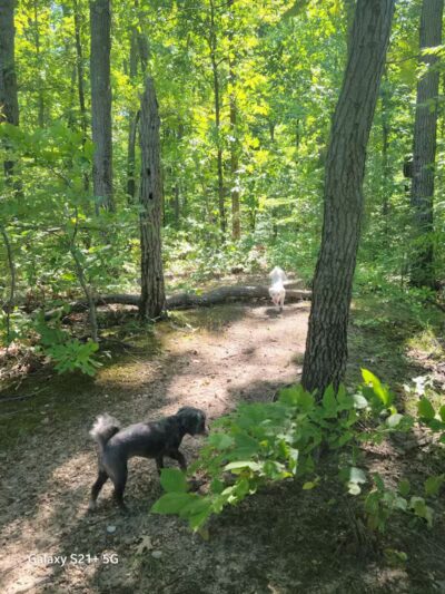 Mill Creek park - Constantine,