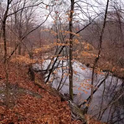 Mill Creek park - Constantine,