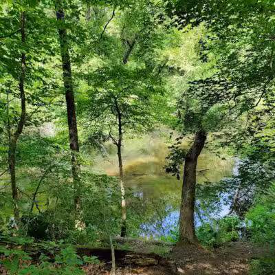 Mill Creek park - Constantine,