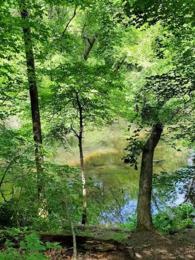 Mill Creek park - Constantine,