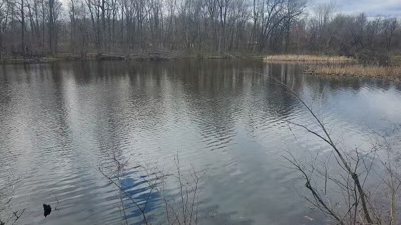 Mill Creek park - Constantine,