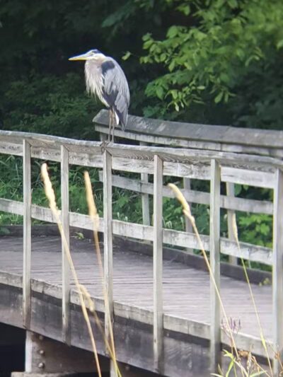 Riverview Park - Constantine,