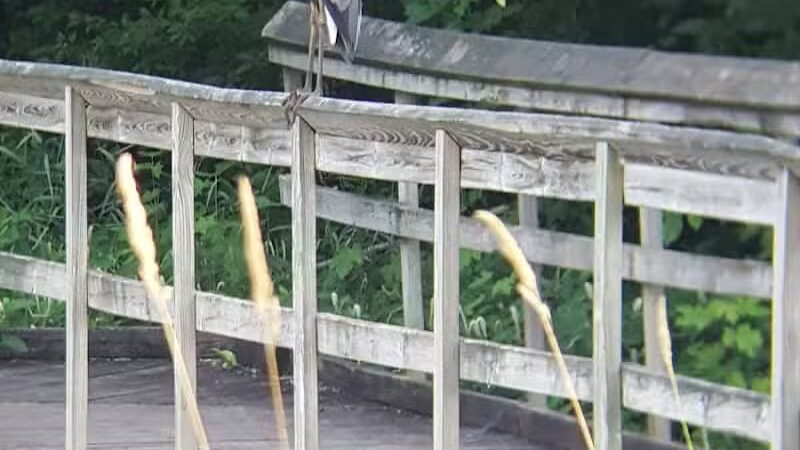 Riverview Park - Constantine,