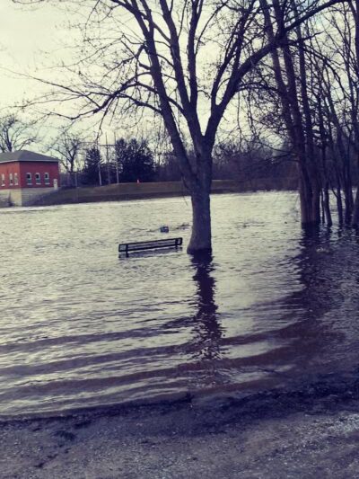 Riverview Park - Constantine,