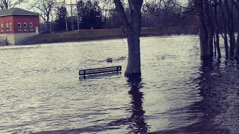 Riverview Park - Constantine,