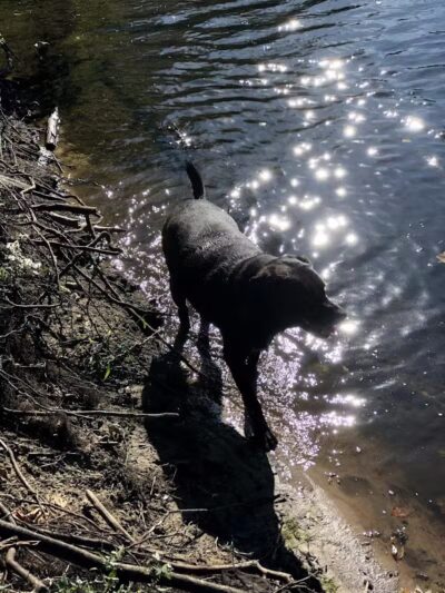 Riverview Park - Constantine,