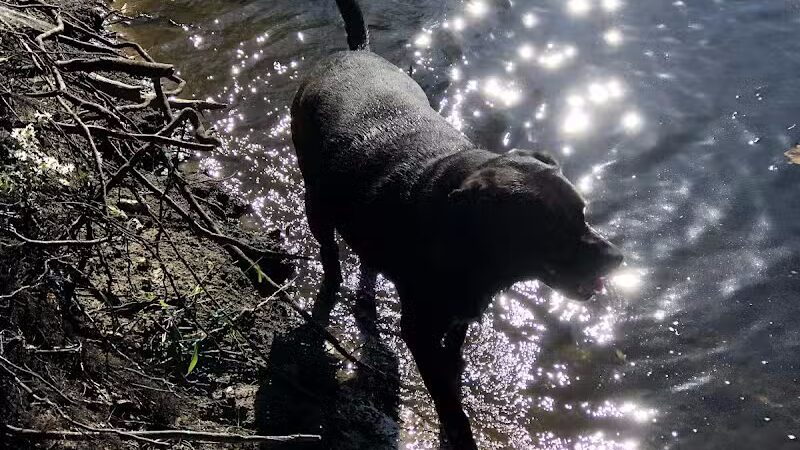 Riverview Park - Constantine,